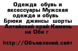 Одежда, обувь и аксессуары Мужская одежда и обувь - Брюки, джинсы, шорты. Алтайский край,Камень-на-Оби г.